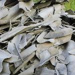 Image of Asbestos. We do not accept this waste.
