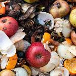 do not put food waste in your skip