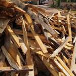 Wood and timber in our skips in Mitcham